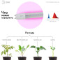 Фитолампа для растений красно-синего спектра ЭРА FITO-9W-RB-Т8-G13-NL Т8 G13 9 Вт - Фото 4