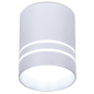 Точечный светильник накладной светодиодный AMBRELLA TN241 SL/S серебро/песок