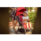 Коляска детская прогулочная XO KID Airo Red - Фото 4