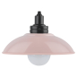 Ночник декоративный светодиодный ЭРА NLED-487-1W-SW-P розовый