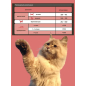 Влажный корм для кошек PROBALANCE Active консервы 415 г (4640011982221) - Фото 4