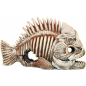 Декорация для аквариума DEKSI Скелет рыбы №903 31х11х20 см (903d) - Фото 2