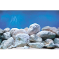 Фон для аквариума BARBUS Двухсторонний Водный сад/Камни 60х124 см (BACKGROUND 018) - Фото 3