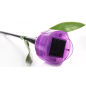 Светильник садовый на солнечной батарее UNIEL Purple tulip (UL-00004278) - Фото 2
