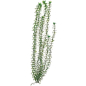 Растение искусственное для аквариума BARBUS Элодея зеленая 30 см (Plant 004/30)