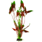 Растение искусственное для аквариума BARBUS Водная Кала зеленая с коричневым 30 см (Plant 008/30) - Фото 2