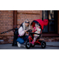 Велосипед детский трехколесный BUBAGO Triton Red/Black (BGT-B-0523) - Фото 26
