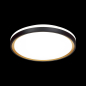 Светильник накладной светодиодный 72 Вт 3000-6000К SONEX Klapa SN 029 черно-золотой (3045/EL) - Фото 2