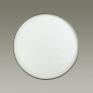 Светильник накладной светодиодный 72 Вт 3000-6000K SONEX Geta Silver Pale SN 077 белый/серебристый (2076/EL) - Фото 3