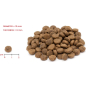 Сухой корм для щенков ALLEVA Equilibrium Sensitive Puppy All Breeds с ягненком 12 кг (P6001) - Фото 2