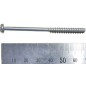 Винт крепления статора для высечных ножниц WORTEX NB1655 (1501012145)