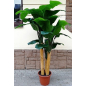 Искусственное растение FORGARDEN Банан Banana tree 210 см (FGN_BF01710) - Фото 2