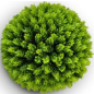 Искусственное растение FORGARDEN Самшит Fir grass ball dia 48 см (FGN_BF01023)