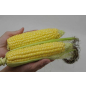 Семена сахарной кукурузы Спирит F1 АГРОФИРМА ПАРТНЕР 3 г (4600707501969) - Фото 2
