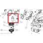 Двигатель для газонокосилки WORTEX CLM3336 (8.12.0390)