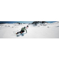 Лыжи горные ELAN Amphibio 16 TI Fusion X & EMX 12.0 (ABIGBS20-166) - Фото 10