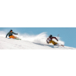 Лыжи горные ELAN Wingman 78 C Power Shift & EL 10.0 (ABGHKC21-176) - Фото 3