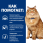 Сухой корм для кошек HILL'S Prescription Diet k/d + Mobility 1,5 кг (52742049991) - Фото 9