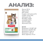 Сухой корм для котят беззерновой HILL'S Science Plan No Grain курица с картофелем 1,5 кг (52742037059) - Фото 7