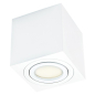 Светильник поворотный под лампу GU10 TRUENERGY Modern белый (21340)