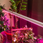 Светильник для растений красно-синего спектра ЭРА FITO-PROM-16W-Т5-N - Фото 7