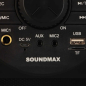 Колонка портативная беспроводная SOUNDMAX SM-PS5071B - Фото 7