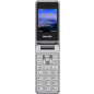 Мобильный телефон PHILIPS Xenium E2601 серебристо-белый (CTE2601SV/00)