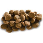 Сухой корм для собак MEGLIUM Adult Gold 3 кг (MS1303) - Фото 3