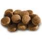 Сухой корм для собак MEGLIUM Adult 15 кг (MS0115) - Фото 3