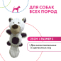 Игрушка для собак PETPARK Медведь с большим хвостом S 25 см белый (WB24257-1) - Фото 2