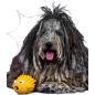 Игрушка для собак MR.KRANCH Рыба-ерш с ароматом сливок 12 см желтый (MKR000205) - Фото 7