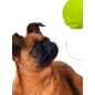Игрушка для собак MR.KRANCH Мяч с лапкой 8 см неон желтый (MKR000212) - Фото 7
