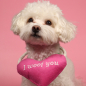 Игрушка для собак MR.KRANCH Сердечко с канатом и пищалкой 15х12х4 см розовый (MKR80267) - Фото 3