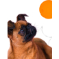 Игрушка для собак MR.KRANCH Мяч 6 см оранжевый (MKR000158) - Фото 5