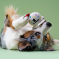 Игрушка для собак MR.KRANCH Мороженое с канатом 29х8х6,5 см бежевый (MKR80263) - Фото 3