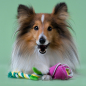 Игрушка для собак MR.KRANCH Роза с канатом 29х5х5 см розовый (MKR80264) - Фото 6
