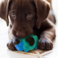Игрушка для собак PETSTAGES Mini Орка Ежик 12 см (67893) - Фото 3