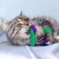 Игрушка для кошек PETSTAGES Dental Капуста с мятой 20 см (67839) - Фото 3