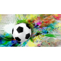Фотообои флизелиновые ФАБРИКА ФРЕСОК Футбольный мяч с красками 500x270 см (735270)
