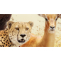 Фотообои флизелиновые ФАБРИКА ФРЕСОК Африканские звери 400x270 см (484270) - Фото 5