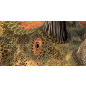Фотообои флизелиновые ФАБРИКА ФРЕСОК Динозавры 300x270 см (383270) - Фото 6