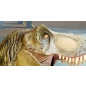 Фотообои флизелиновые ФАБРИКА ФРЕСОК Динозавры 300x270 см (383270) - Фото 4
