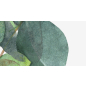 Фотообои флизелиновые ФАБРИКА ФРЕСОК Зеленые листья 400x270 см (534270) - Фото 8