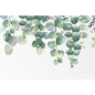 Фотообои флизелиновые ФАБРИКА ФРЕСОК Зеленые листья 400x270 см (534270)