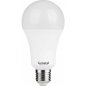 Лампа светодиодная E27 GENERAL GLDEN-WA60-B-11-230-E27-3000 (660340)