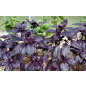 Семена базилика Рози фиолетовый АГРОФИРМА ПАРТНЕР 1 г - Фото 3
