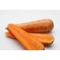 Семена моркови Канада F1 АГРОФИРМА ПАРТНЕР 0,5 г - Фото 2