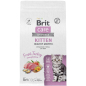 Сухой корм для котят BRIT Care Kitten Healthy Growth индейка 1,5 кг (5066056)