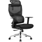 Кресло компьютерное SITUP Craft сетка Black/Black (5613)