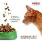 Сухой корм для стерилизованных кошек ADRAGNA Cat&co Wellness Adult Sterilized рыба рис 0,4 кг (3125/04/CATW) - Фото 6